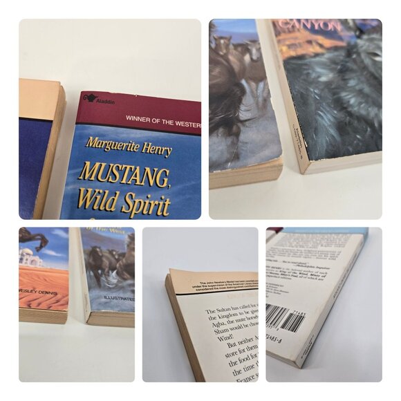 Marguerite Henry 3 Book Lot Horses Animal Books King of the Wind Mustang Brighty - Picture 12 of 12
